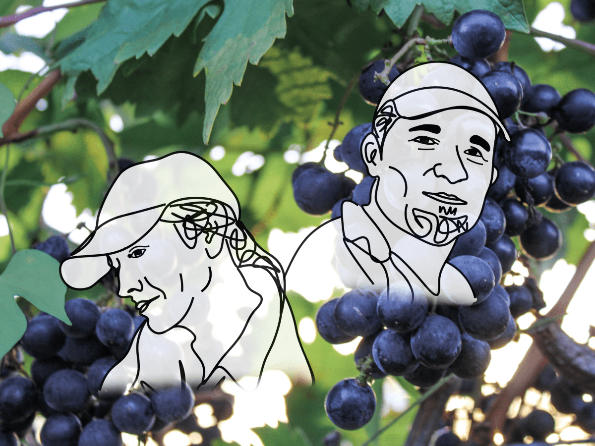 Secrets of the Yeastyboys: Two Weeks at Robert Clay&nbsp;Vineyards