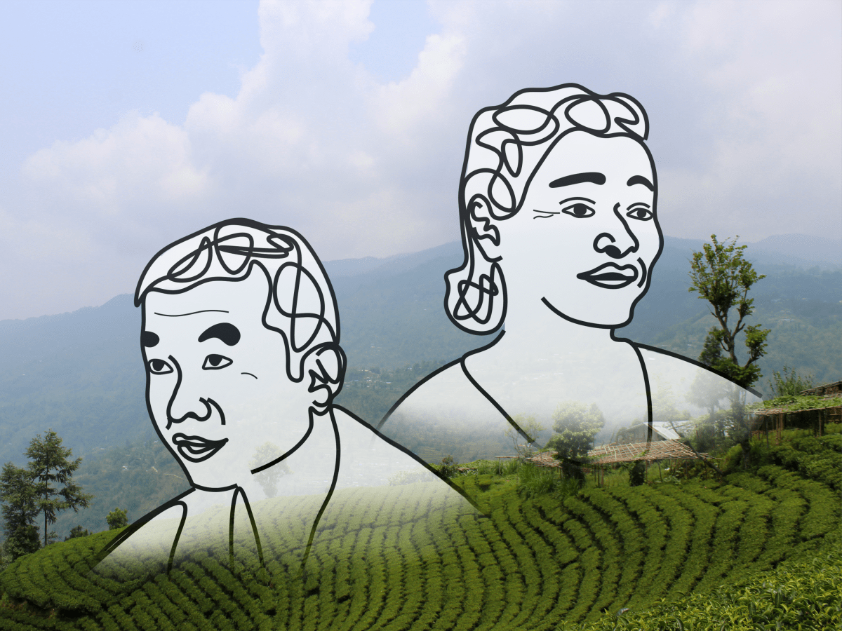 Immortal Roots: 16 Days at the Kulung Organic Tea&nbsp;Farm