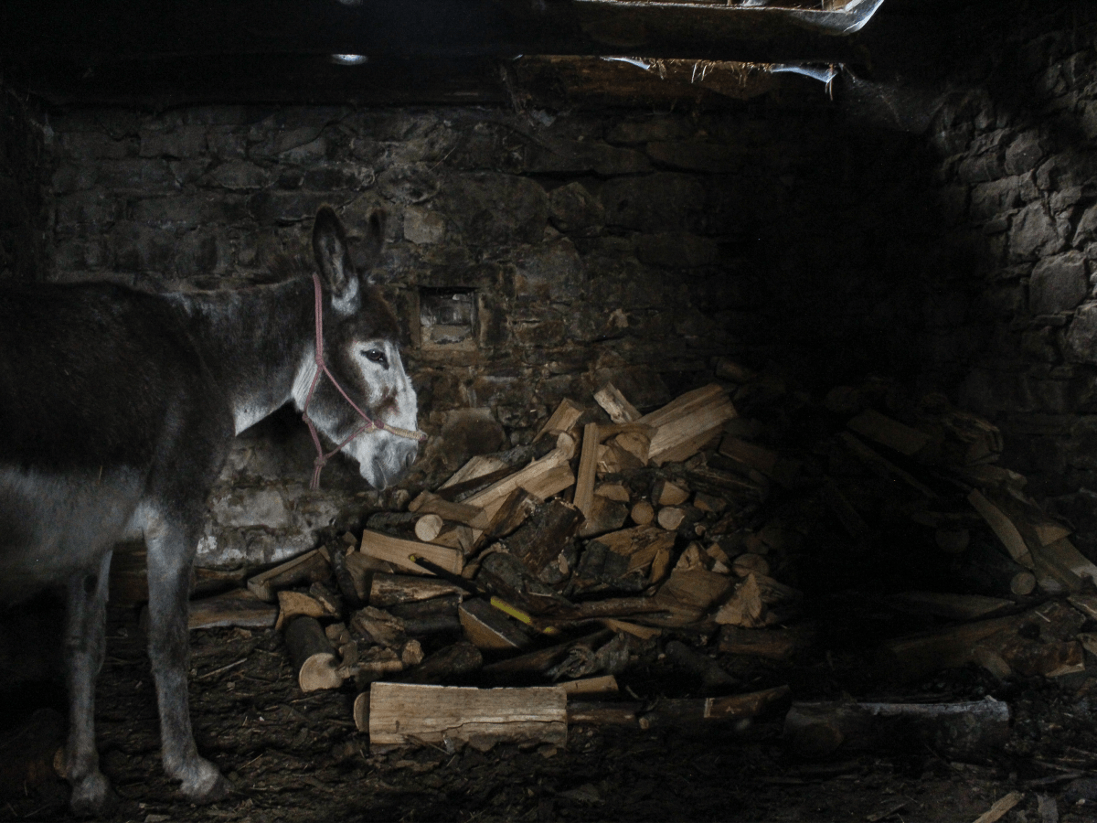 Fleeing Tuscany (Part 1): A Cursed&nbsp;Arrival