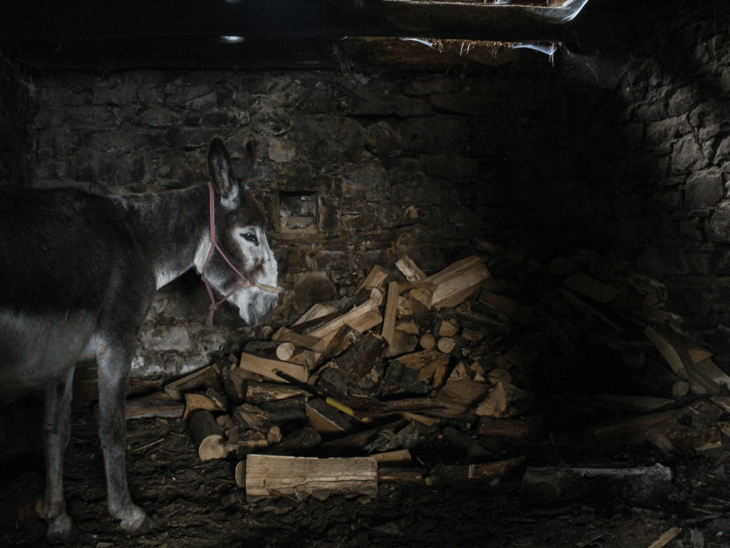 Fleeing Tuscany (Part 1): A Cursed&nbsp;Arrival